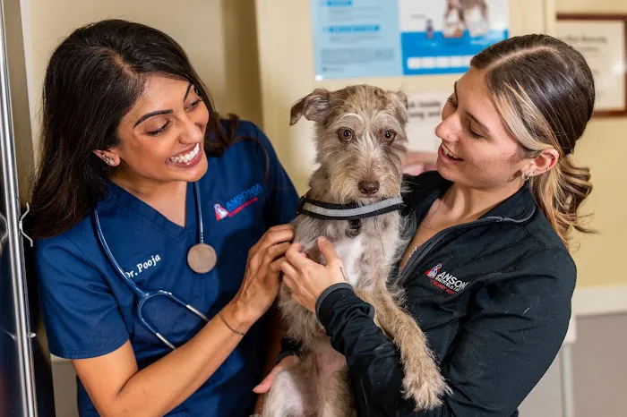 AmeriVet Veterinary Partners 12