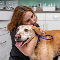 AmeriVet Veterinary Partners ico