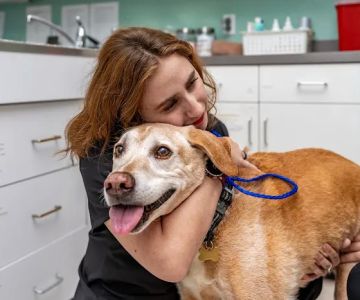 AmeriVet Veterinary Partners