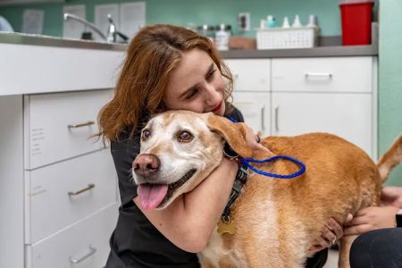 AmeriVet Veterinary Partners