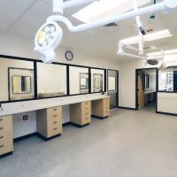 Thrive Pet Healthcare Specialists San Antonio ico