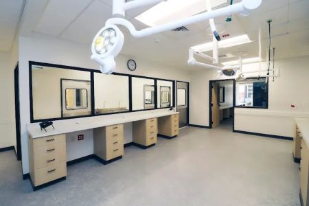 Thrive Pet Healthcare Specialists San Antonio