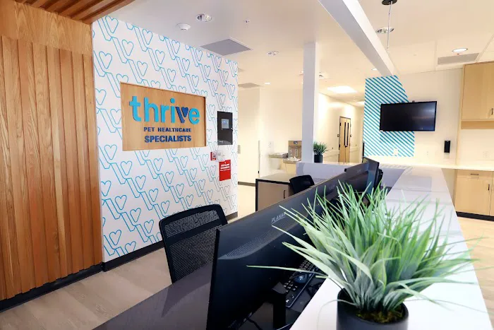 Thrive Pet Healthcare Specialists San Antonio 8