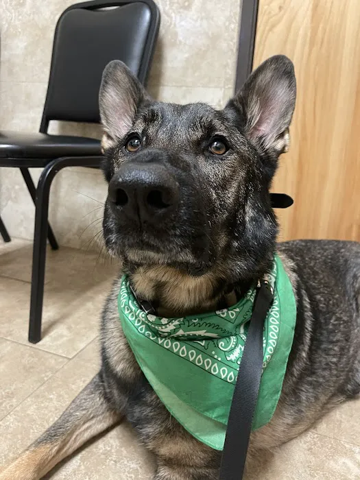 Thrive Pet Healthcare Specialists San Antonio 10