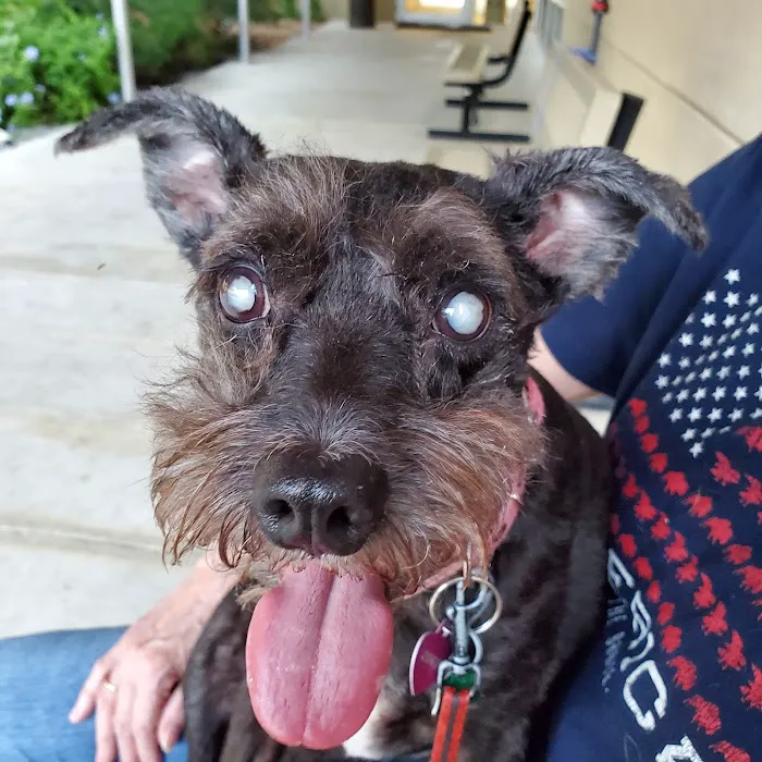 Leon Valley Veterinary Hospital 10
