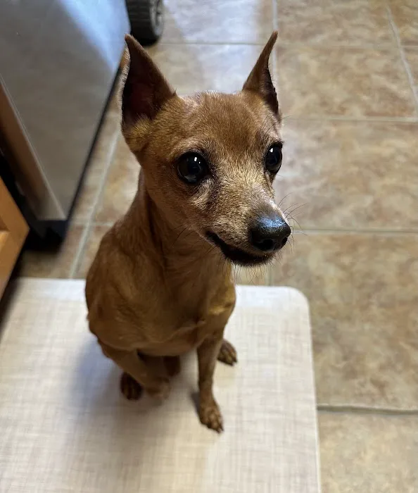 Leon Valley Veterinary Hospital 5