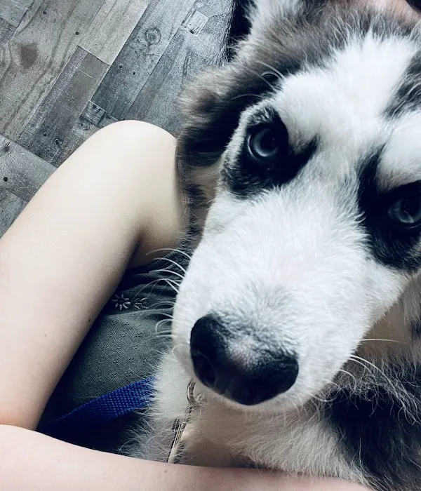 Leon Valley Veterinary Hospital 2