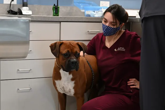 Covenant Care Animal Hospital, A Thrive Pet Healthcare Partner 4