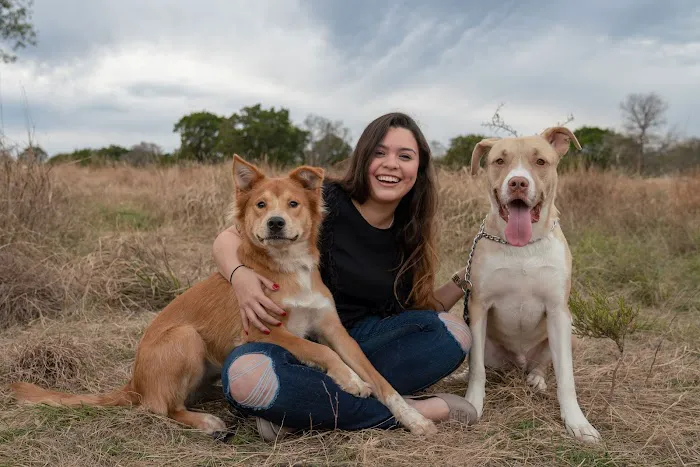 Covenant Care Animal Hospital, A Thrive Pet Healthcare Partner 2