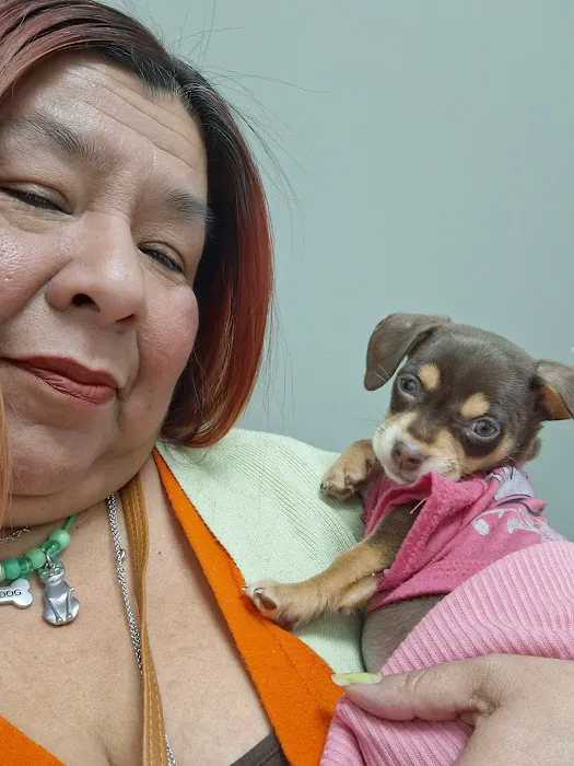 CityVet | Castle Hills + Urgent Care 12