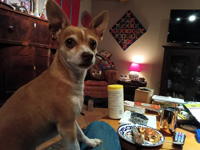 CityVet | Castle Hills + Urgent Care 12
