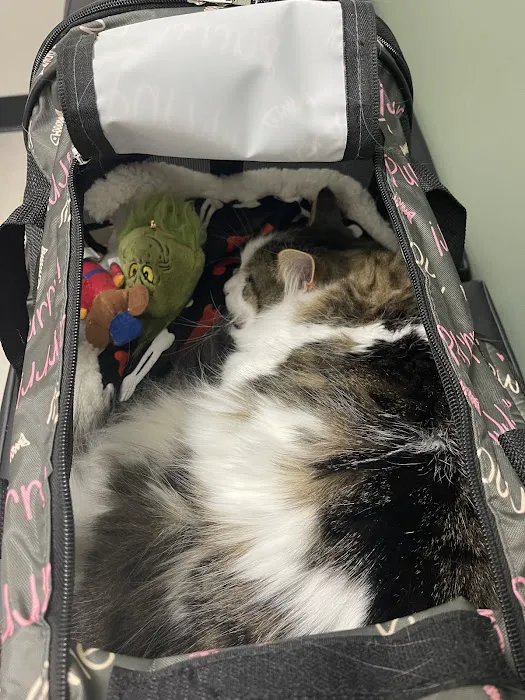 CityVet | Castle Hills + Urgent Care 12