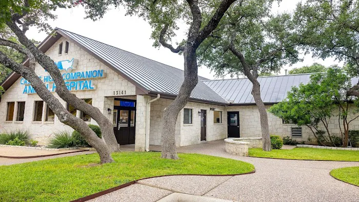 VCA Castle Hills Companion Animal Hospital 1