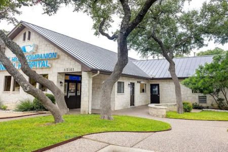 VCA Castle Hills Companion Animal Hospital