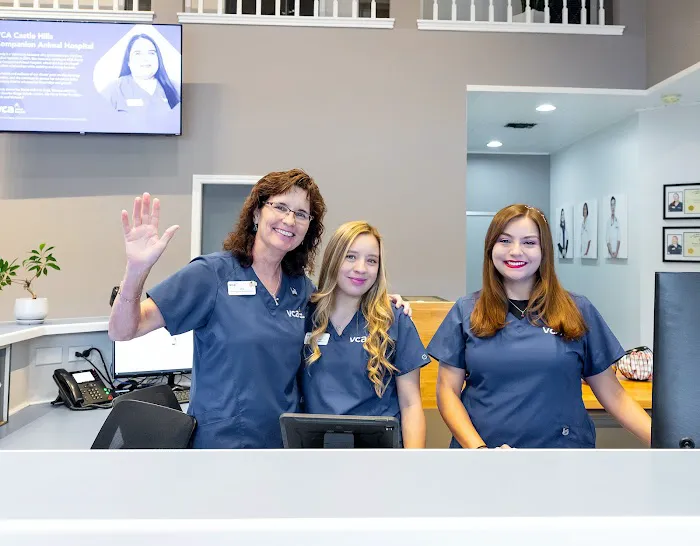 VCA Castle Hills Companion Animal Hospital 6