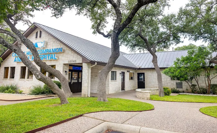 VCA Castle Hills Companion Animal Hospital 7