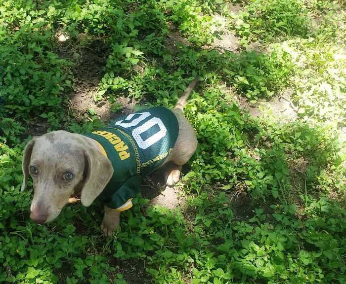 Banfield Pet Hospital 12