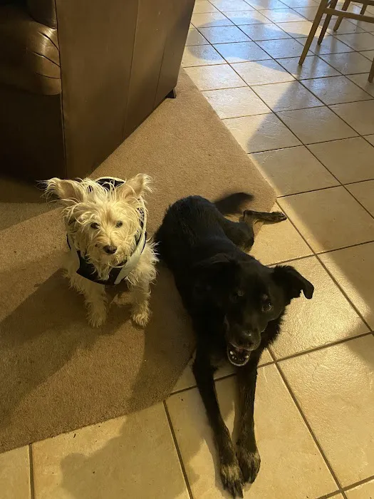 Towne North Animal Hospital 12
