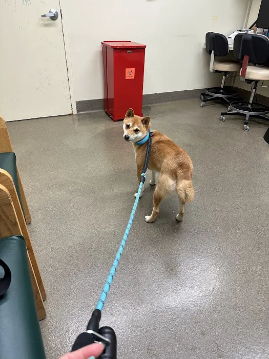Fort Sam Houston Veterinary Clinic 7