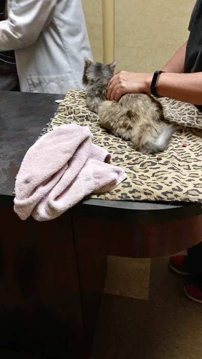 Alamo Hills Animal Hospital 12