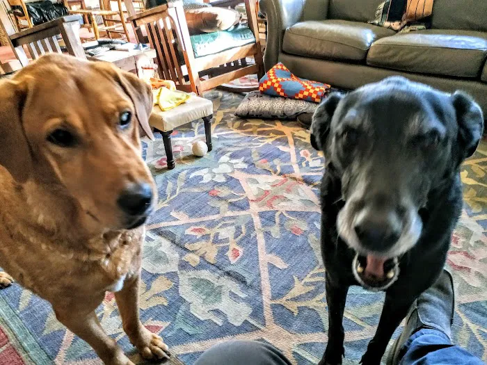 Alamo Hills Animal Hospital 12