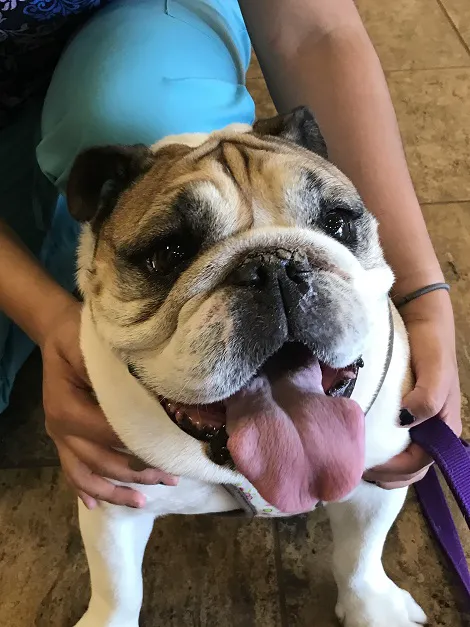 Alamo Hills Animal Hospital 12