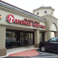 Alamo Hills Animal Hospital ico