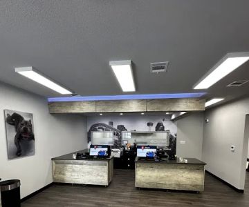 CityVet | Southtown
