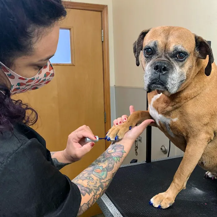 Huebner Oaks Veterinary Hospital 9