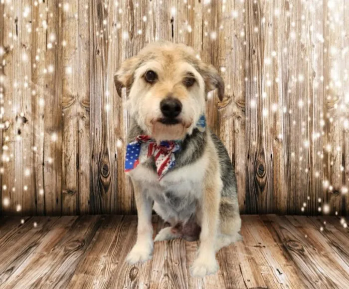 Huebner Oaks Veterinary Hospital 5
