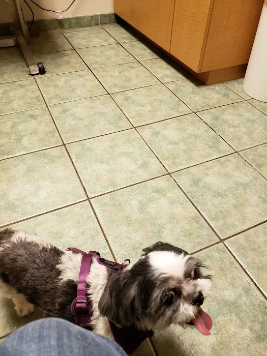 Huebner Oaks Veterinary Hospital 8