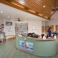 Huebner Oaks Veterinary Hospital ico