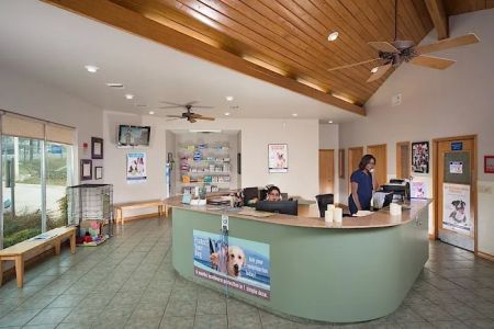 Huebner Oaks Veterinary Hospital