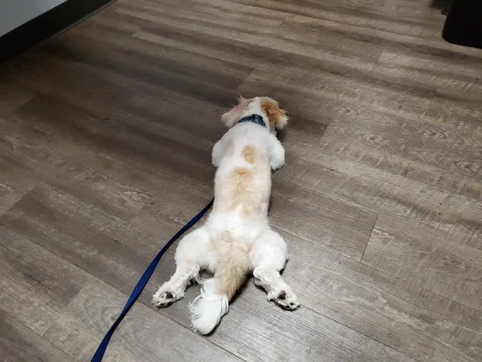My Pet's Vet - San Antonio 12