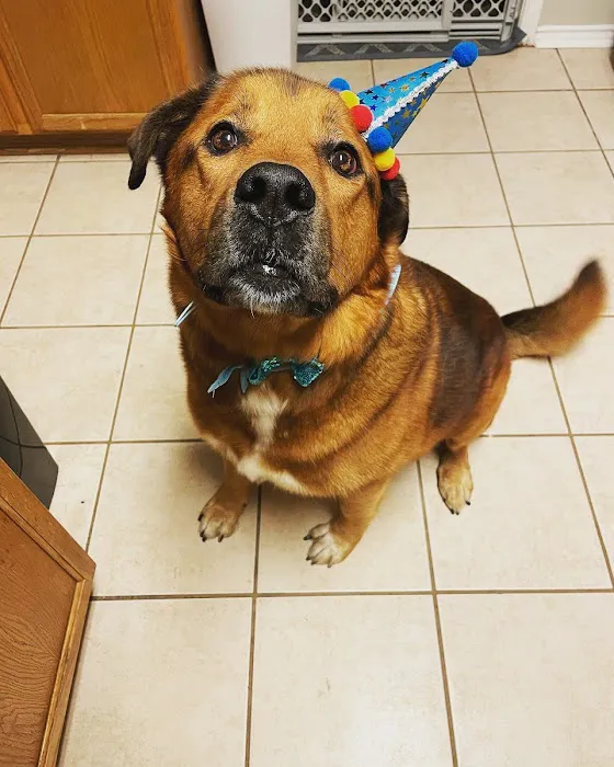 My Pet's Vet - San Antonio 12