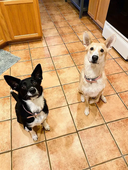 My Pet's Vet - San Antonio 12