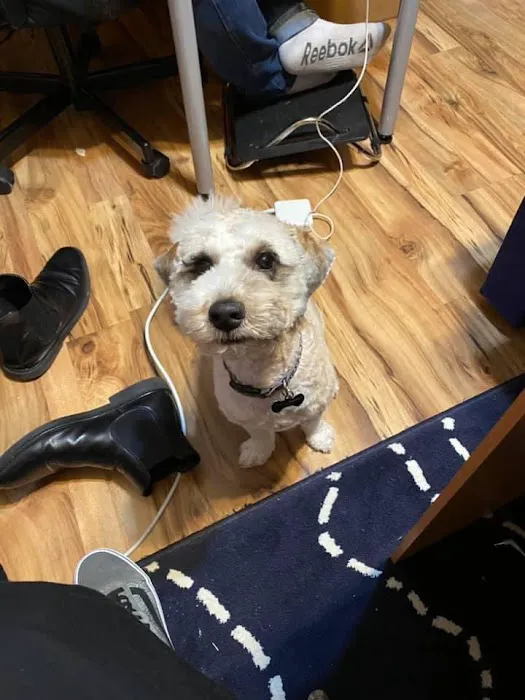 My Pet's Vet - San Antonio 12
