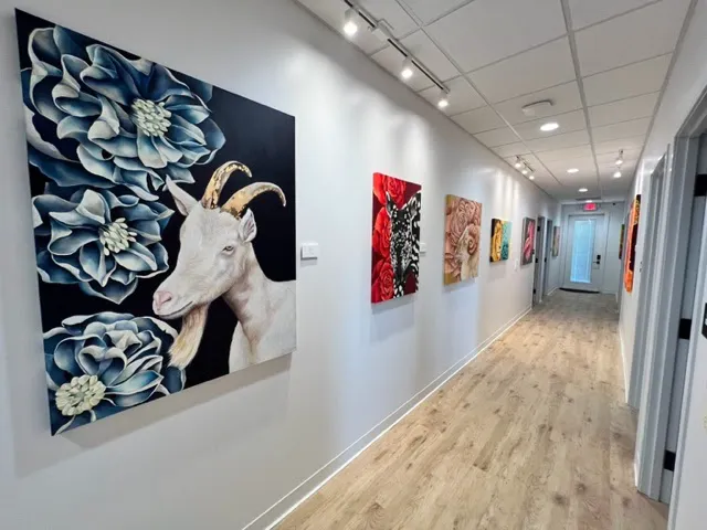 San Antonio Veterinary Specialists 1