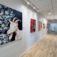 San Antonio Veterinary Specialists ico