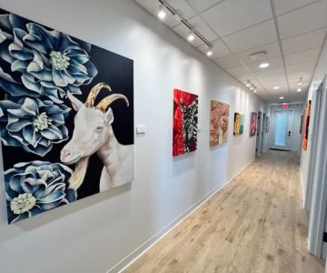 San Antonio Veterinary Specialists
