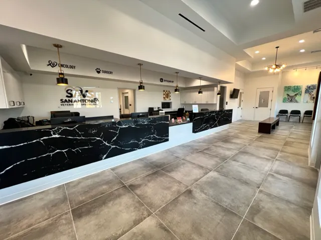 San Antonio Veterinary Specialists 7