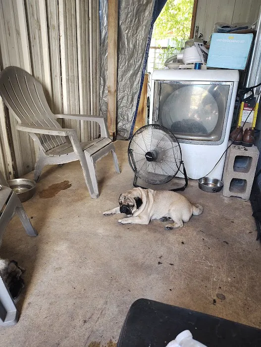 Brandos Animal Hospital 12
