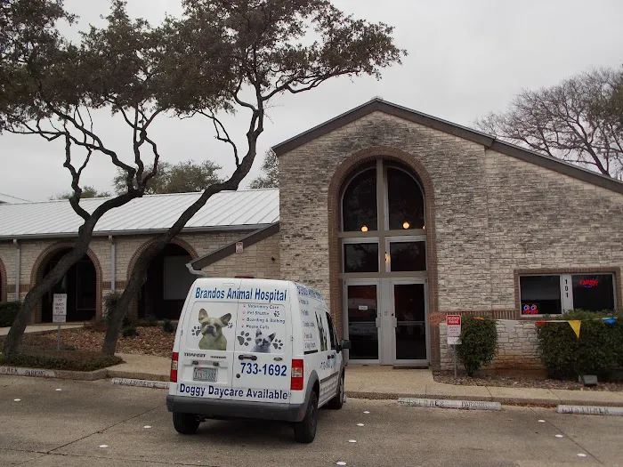 Brandos Animal Hospital 12