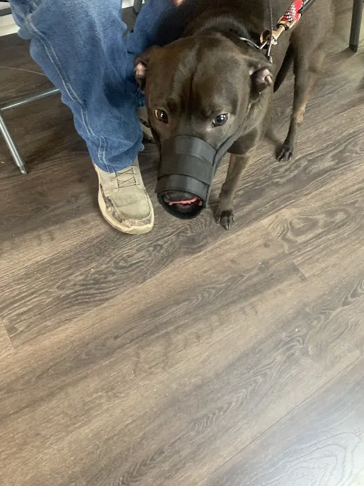 Deaton Veterinary Services 7