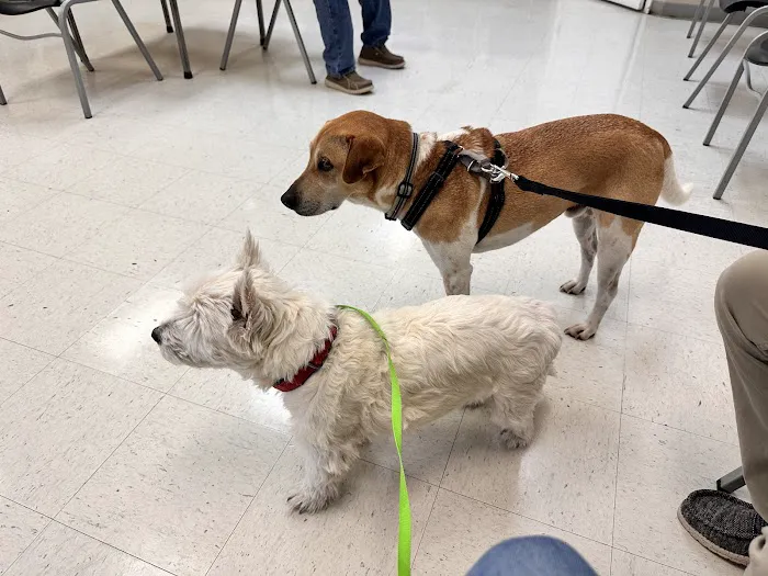 Nichols Animal Hospital 5
