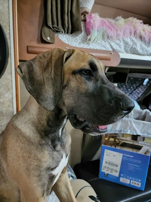Nichols Animal Hospital 1