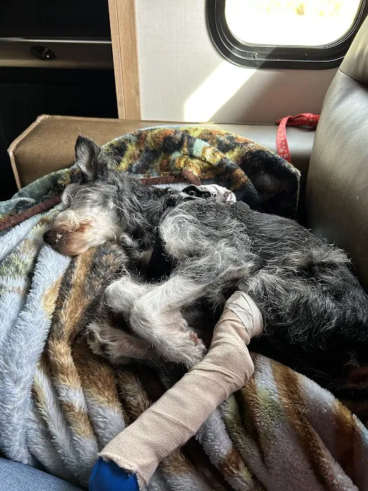 Nichols Animal Hospital 6