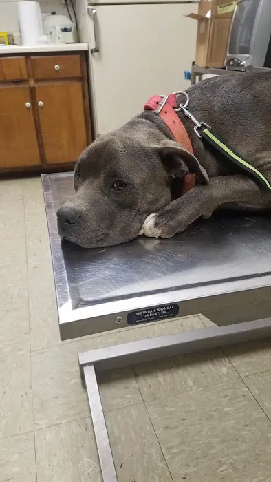 Berry Animal Clinic of Piedmont, Alabama 8