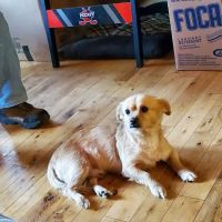 Lusk Animal Clinic ico