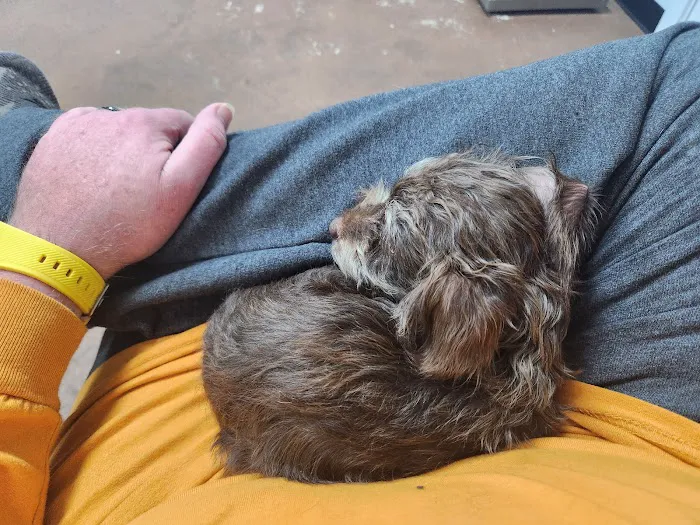 Marks Animal Hospital, LLC 6